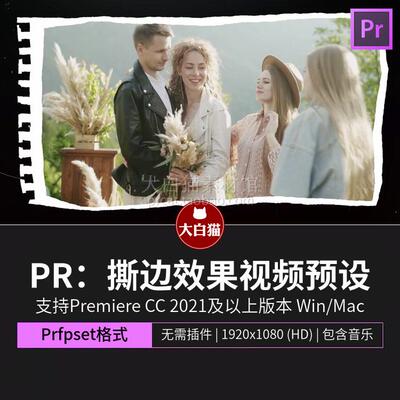 Pr预设 26组撕纸拼贴自动生成视频边框撕边效果视频预设pr特效