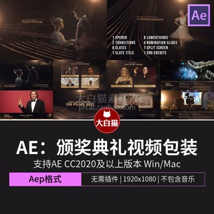 炫美金色线条大气奢华金球奖年会颁奖典礼整体包装AE包装模板