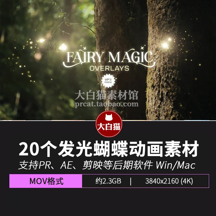 蝴蝶视频素材 20个魔法精灵翅膀扇Pr素材AE源文件MOV动态图形动画,商务/设计服务,设计素材/源文件,淘宝优惠券,粉丝福利购,淘宝优惠卷