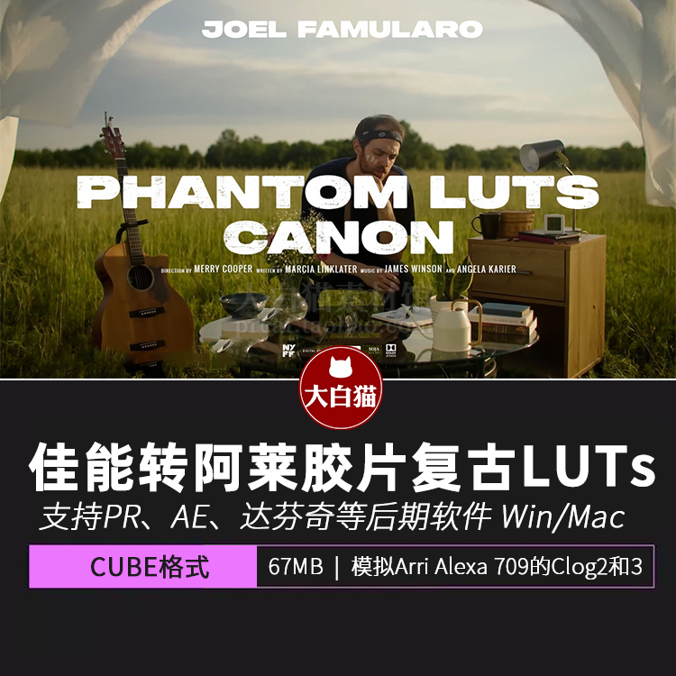 Canon佳能C-Log2 C-Log3转阿莱胶片色彩商业调色预设Phantom LUTs