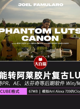 Canon佳能C-Log2 C-Log3转阿莱胶片色彩商业调色预设Phantom LUTs