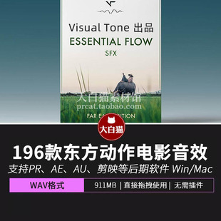 196个7大类东方美学中国传统功夫电影武术动作环境音效素材库