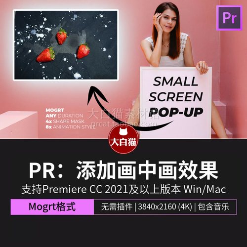 PR画中画效果 画面添加小窗口屏幕视频特效mogrt基本图形