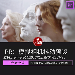 PR预设 10种模拟真实手持相机微震动抖动画面抖动摇晃恍惚PR预设