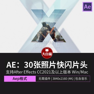 ae片头模板 快剪快闪30张照片快速缩放划像生成logo片头Ae模版