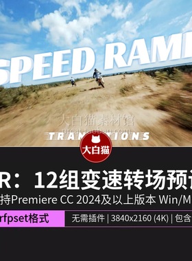 pr预设12组模拟动作升格效果减速特效视频过渡变速转场预设pr模板