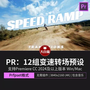 pr预设12组模拟动作升格效果减速特效视频过渡变速转场预设pr模板