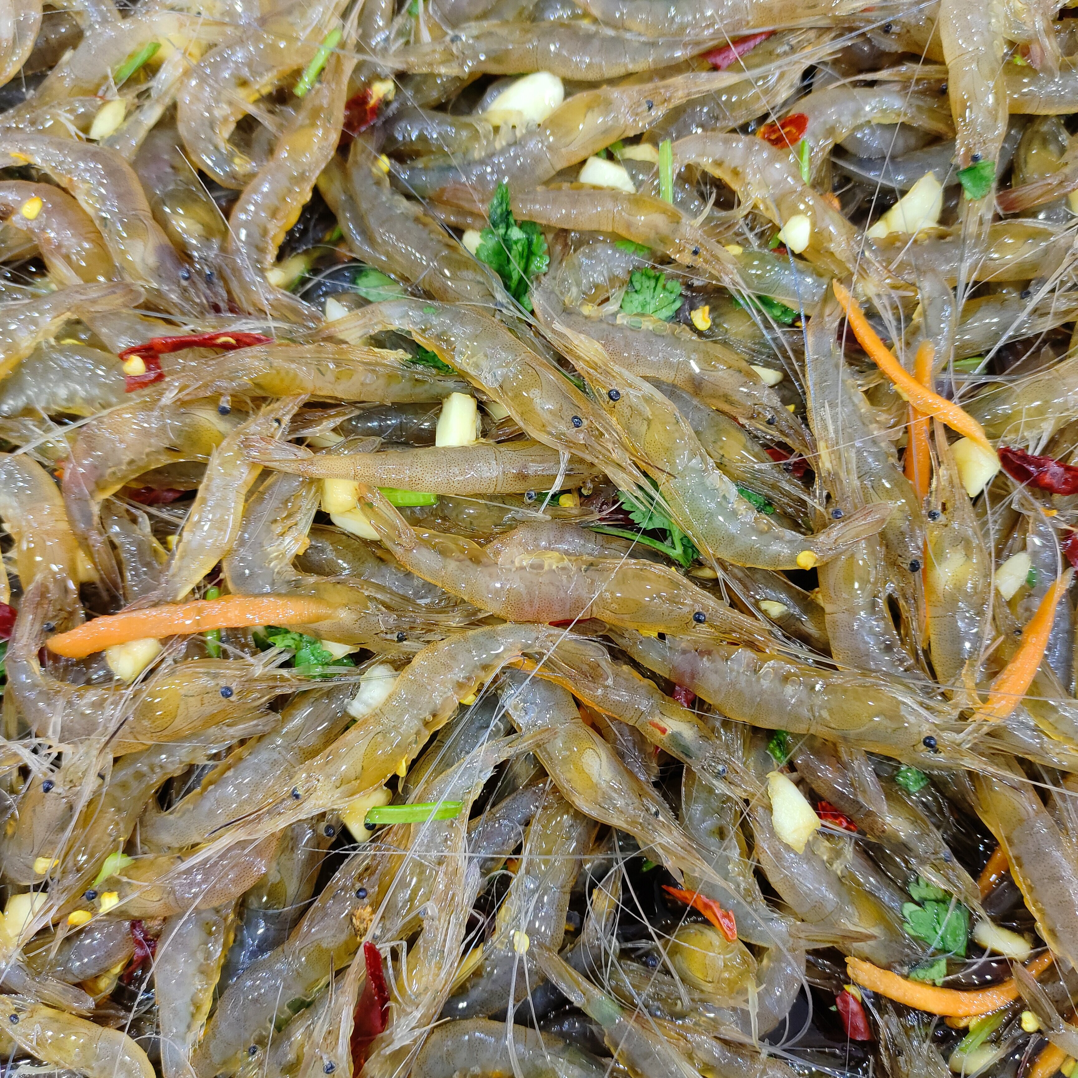 老张泥螺店即食生呛小白米虾500克/瓶(腌制食品冷冻保存)