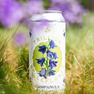 延龄草啤酒每日服务百香果酸艾尔果泥风铃草浑浊精酿酸啤473ml