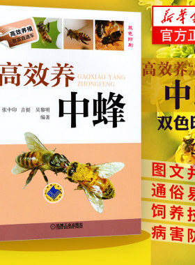正版高效养中蜂蜜蜂养殖技术书