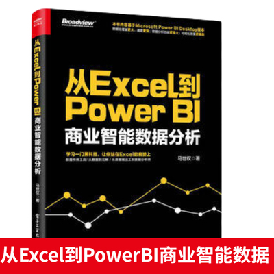 从Excel到PowerBI商业智能数据可视化分析与实战PowerBI入门书Power BI 操作教程 Power Query数据查询工具书excel数据分析教材