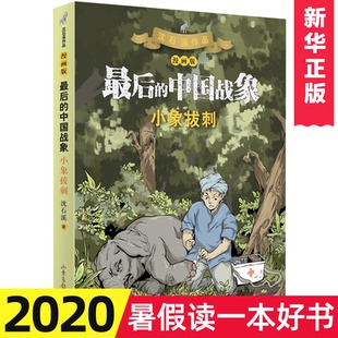 漫画版 z后一头战象 12岁小学生三四五六年级课外阅读书籍 2020暑期儿童阅读书 沈石溪著 小象拔刺 正版