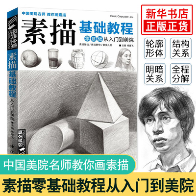 全集 素描基础初自学入门教程材书籍者铅笔手绘画画册本从单个体石膏几何体成人美术的诀窍临摹范本到精通套人物考级杨建飞