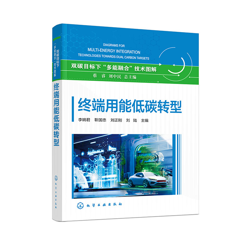 终端用能低碳转型-双碳目标下多能融合技术图解蔡睿、刘中民  总主编  李婉君、靳国忠、刘正刚、刘陆  主编各部门经济