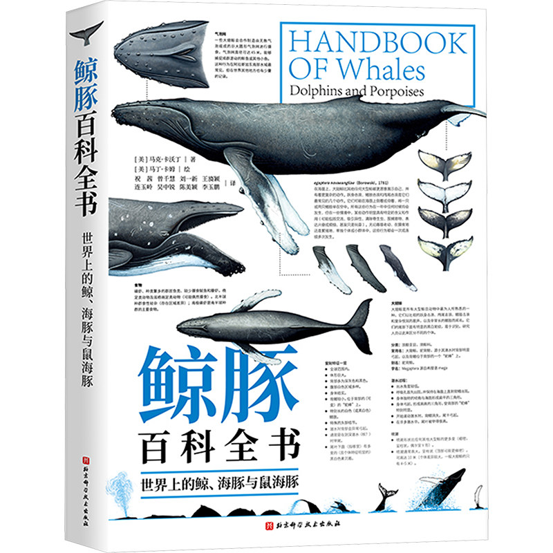 鲸豚百科全书 世界上的鲸、海豚与鼠海豚 科普读物 生物世界动物 新华正版书籍