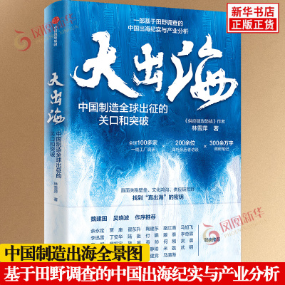 大出海 林雪萍 著 中国企业所面临的共同麻烦和应对之道 关税壁垒被使用得越来越广泛和频繁 经济 中信出版集团 新华书店正版书籍