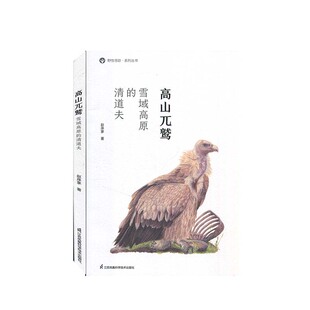 高山兀鹫 清道夫 域高原