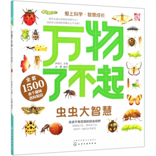 万物了不起虫虫大智慧 尹传红 派糖 少儿科普百科全书 昆虫知识总动员 虫虫知识大百科 自然界动物知识书 儿童自然科学百科启蒙书