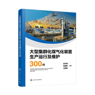大型集群化煤气化装置生产运行及维护300问赵元琪、陈鹏程、王国梁 主编机械工程化学工业出版社新华书店正版