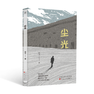 社新华书店正版 尘光泥文现代小说1919 1949年百花文艺出版