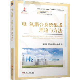 社新华书店正版 电 氢耦合系统集成理论与方法袁铁江能源与动力工程机械工业出版