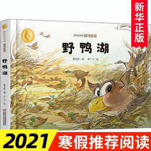 曹文轩作品 侠鸟传奇 野鸭湖 三四五六年级小学生课外阅读书目 儿童文学 新华书店正版