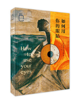 如何用你的眼睛 (美)詹姆斯埃尔金斯(James Elkins) 著 丁宁 译 工艺美术艺术 生活读书新知三联书店