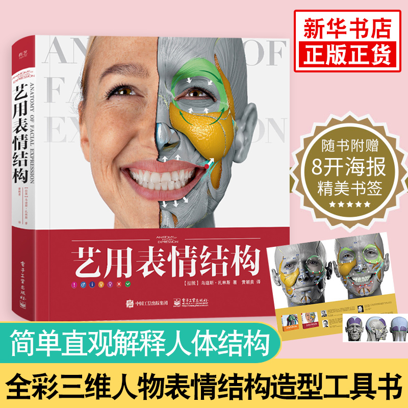 艺用表情结构 艺用人体结构理解人体形态人体结构骨骼肌肉造型解剖学基础教程 动漫素描书入门教材伯里曼人体结构教学书籍 正版