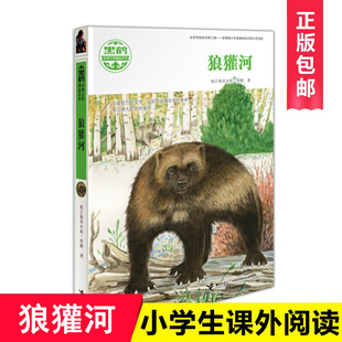 黑鹤动物文学精品系列-狼獾河 中国儿童文学动物小说 四五六年级中小学生初中生版课外阅读故事书 7-8-10-12-15岁青少儿读物