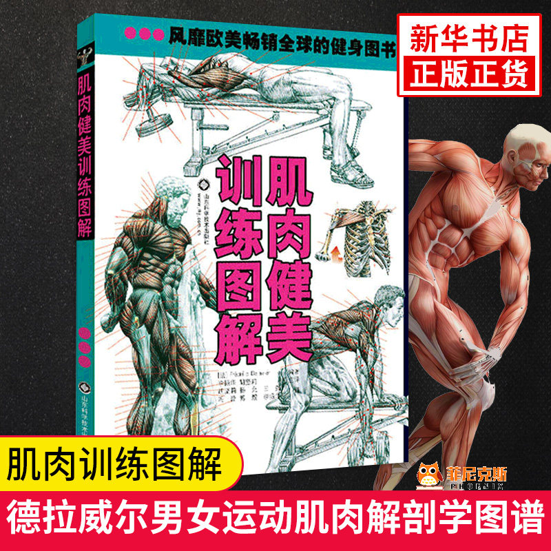 肌肉健美训练图解适用 德拉威尔男女运动肌肉解剖学图谱 减脂增肌塑形详解健身书籍教程 私人教练书徒手健身塑身拉伸 正版书