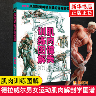 肌肉健美训练图解适用 德拉威尔男女运动肌肉解剖学图谱 减脂增肌塑形详解健身书籍教程 私人教练书徒手健身塑身拉伸 正版书