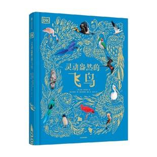 DK灵动盎然的飞鸟 6-12岁科普百科少儿 中信出版社 新华正版书籍