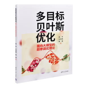 多目标贝叶斯优化——面向大模型的超参调优理论徐华，王洪燕，袁源自动化技术清华大学出版社有限公司新华书店正版