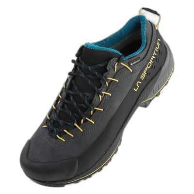 韩国直邮La Sportiva TX4 Evo Gtx (37D900735) 岩画/冰画户外鞋