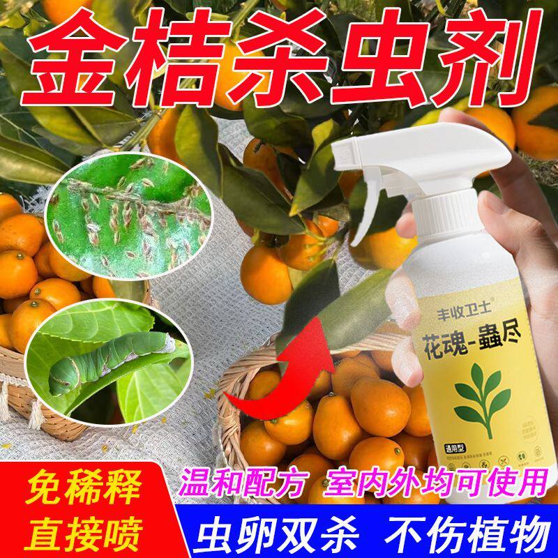 年桔杀虫剂药桔子树生虫桔树治虫药金桔虫子橘子金钱桔灭蚧壳虫杀