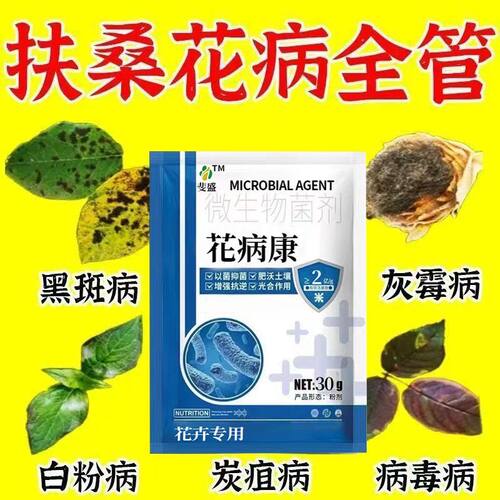 扶桑花菌立净杀菌剂黑斑病适用杀菌叶斑病炭疽病软腐病黑斑病害清