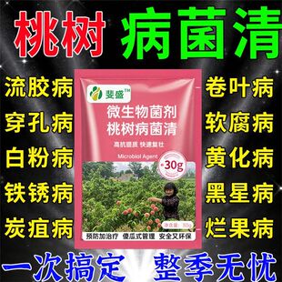 桃树病菌清桃病杀菌剂微生物菌剂肥穿孔病流胶病缩叶病害缩叶炭疽