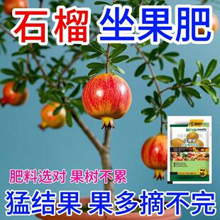 石榴营养液促花促果防黄叶促发芽专用肥家用生长期挂果增甜水溶肥