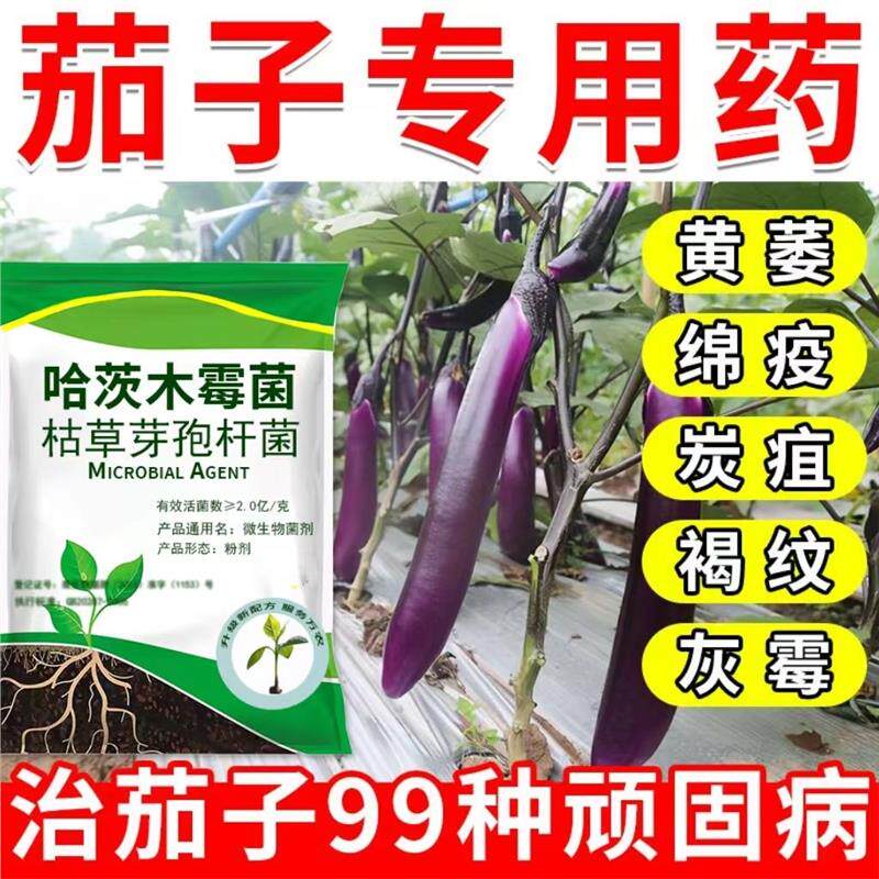 茄子专用药茄子杀菌剂叶枯病黄萎病炭疽病灰霉病白粉病茄子病全治