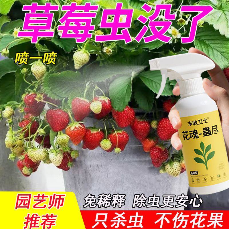 治草莓树腻虫专用药有蚂蚁土壤草苺杀虫剂叶子虫去虫药长虫子喷雾