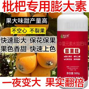 枇杷大果灵枇杷膨大剂枇杷生长剂增甜膨大素枇杷膨果着色防落果