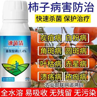 柿子树专用药杀蚧壳虫卷叶缩叶黑斑炭疽枯枝果实溃疡病杀菌剂农用