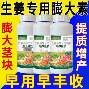 生姜专用肥生姜膨大剂生根壮苗抗逆地下根茎增产膨大素大姜增产肥