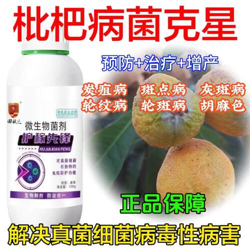 枇杷杀菌剂枇杷病微生物菌剂花腐病进口农用点病炭疽病胡麻色