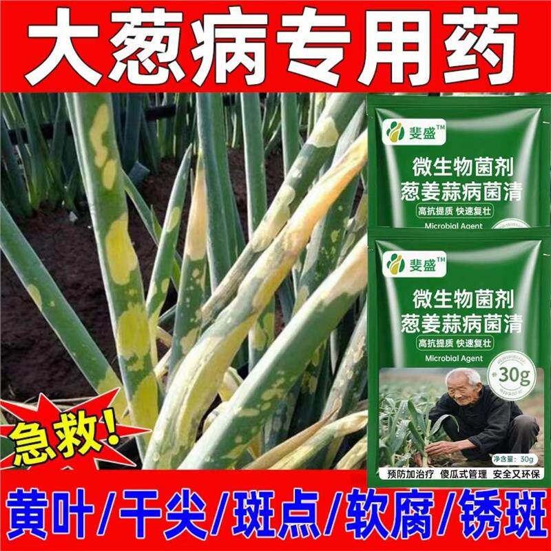 大葱病菌清葱蒜干尖清大葱黄叶干尖锈病软腐病根腐病霜霉病正品