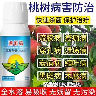 桃树杀菌剂桃树病全治穿孔病流胶病缩叶病炭疽病褐腐病白粉病菌剂