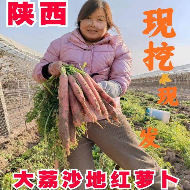 陕西大荔农家自产自销带泥甜脆做菜水果蔬菜沙地窝红皮黄心红罗卜,水产肉类/新鲜蔬果/熟食,萝卜/胡萝卜,淘宝优惠券,粉丝福利购,淘宝优惠卷