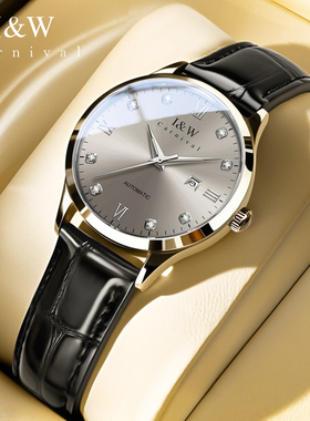 瑞士iw爱沃驰女士手表女款全自动机械表正品2025新款轻奢品牌腕表