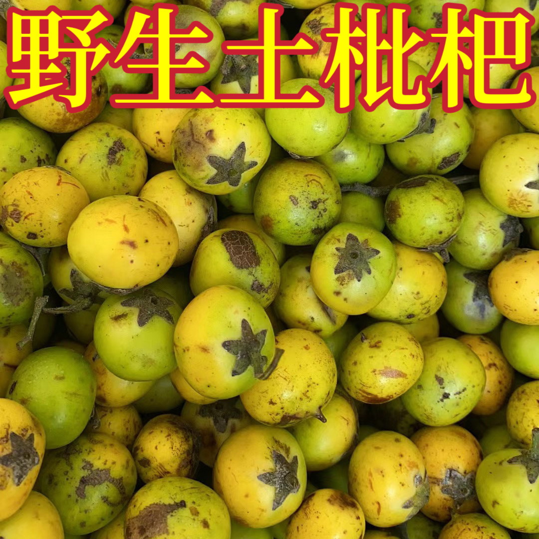 新鲜野生土枇杷 搓冰粉湖南衡阳特产土琵琶 现摘现发润喉止咳