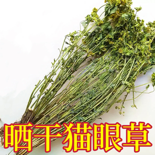 干猫眼草 整株干带根 中药材小叶野生 猫儿眼马虎眼草泽漆胭脂草